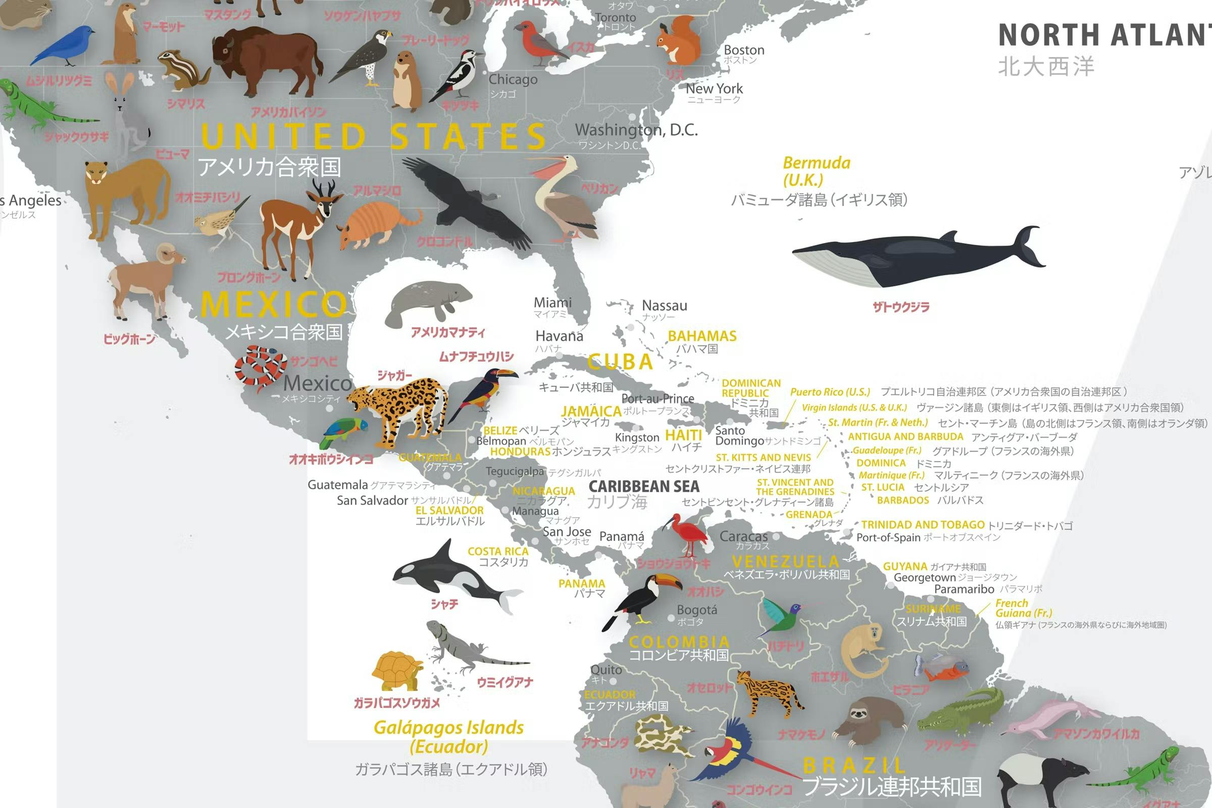 世界地図上のバミューダの位置