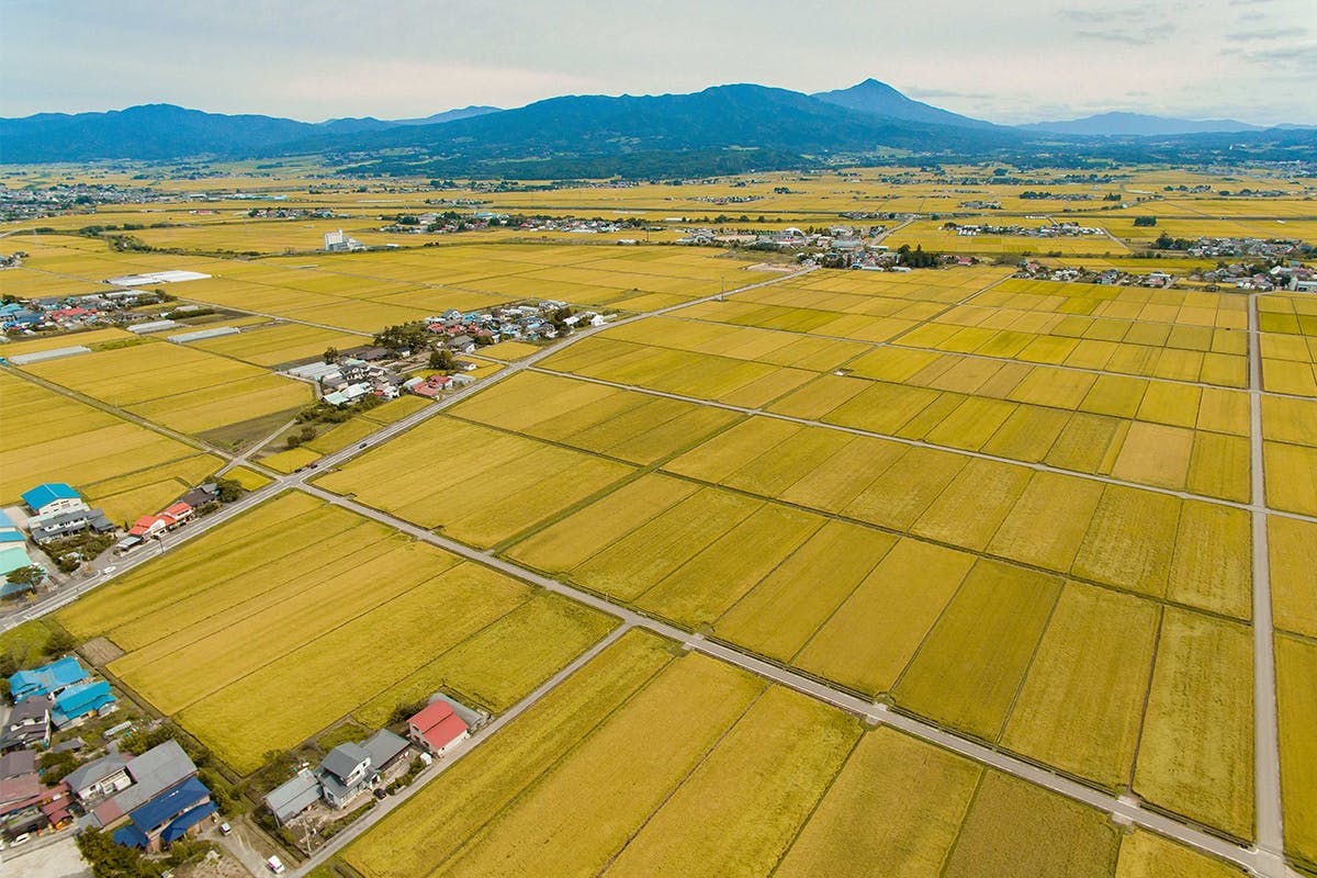 福島県で一番小さな自治体 湯川村 に賜わいを創出する為のプロジェクトを始動 Campfire キャンプファイヤー