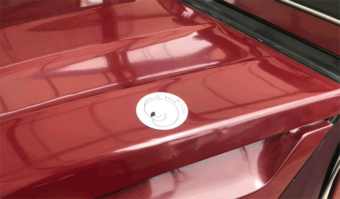 愛車に入り込む猫たちの命を救おう カートントン ステッカーを全国に広めたい Campfire キャンプファイヤー