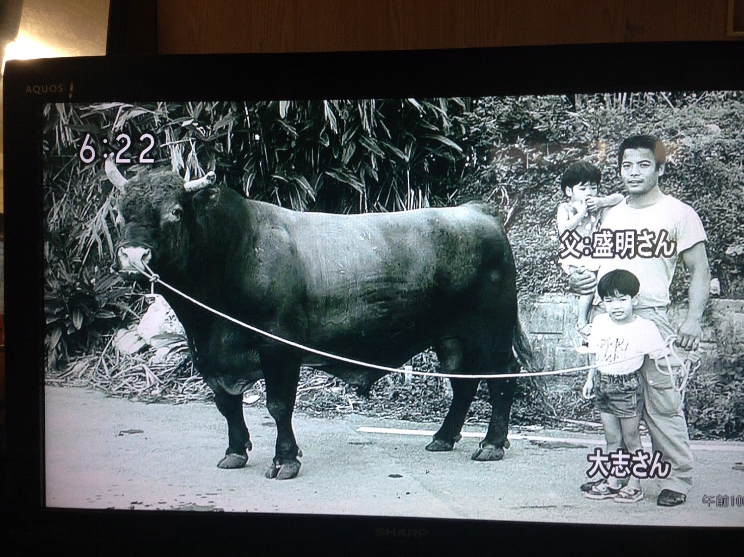 沖縄と闘牛の魅力を更に詰め込んだ 闘牛戦士ワイドー２ を完成させる Campfire キャンプファイヤー