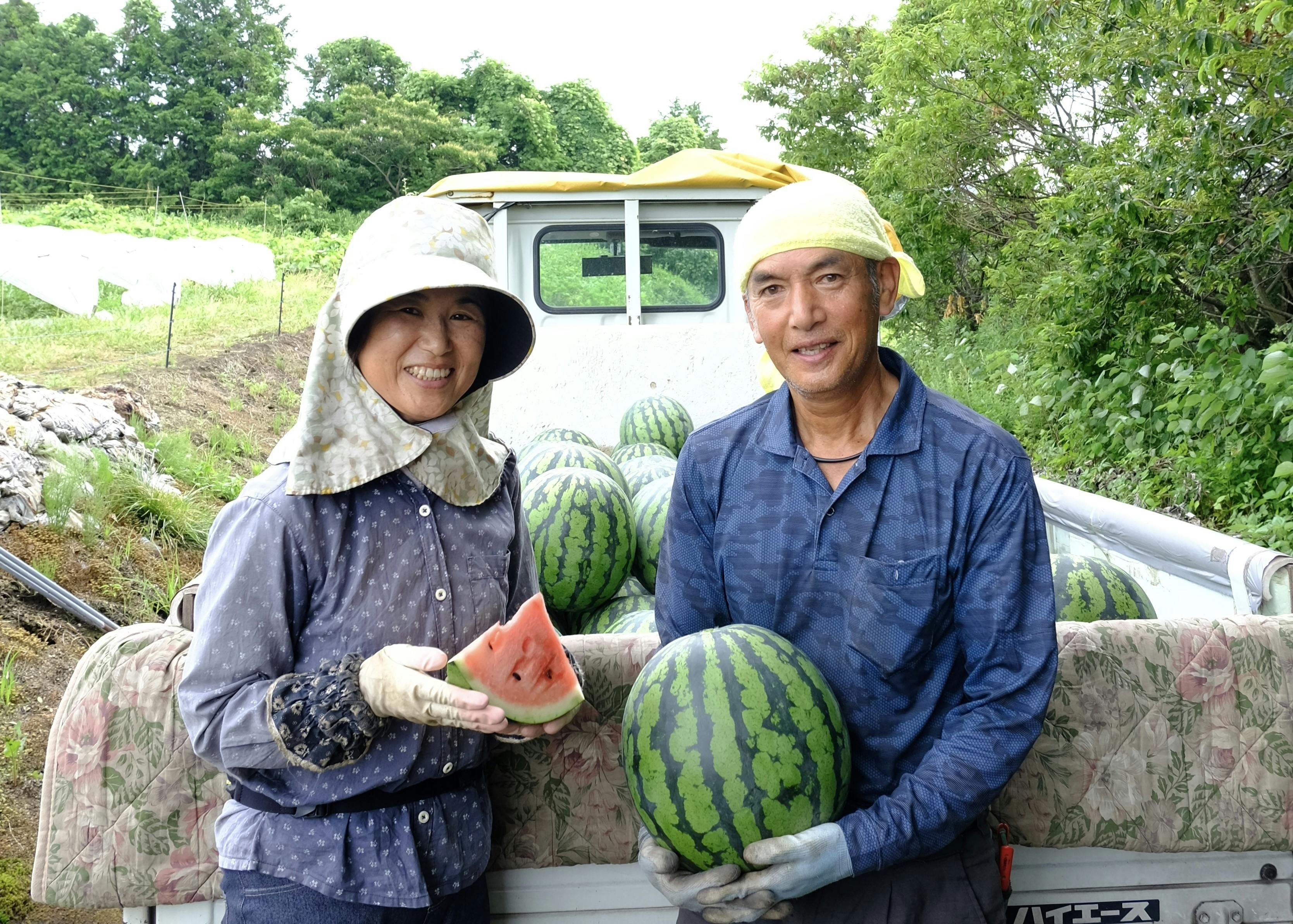 児童養護施設の子ども達や子ども食堂へスイカと笑顔を届けたい！ - CAMPFIRE (キャンプファイヤー)