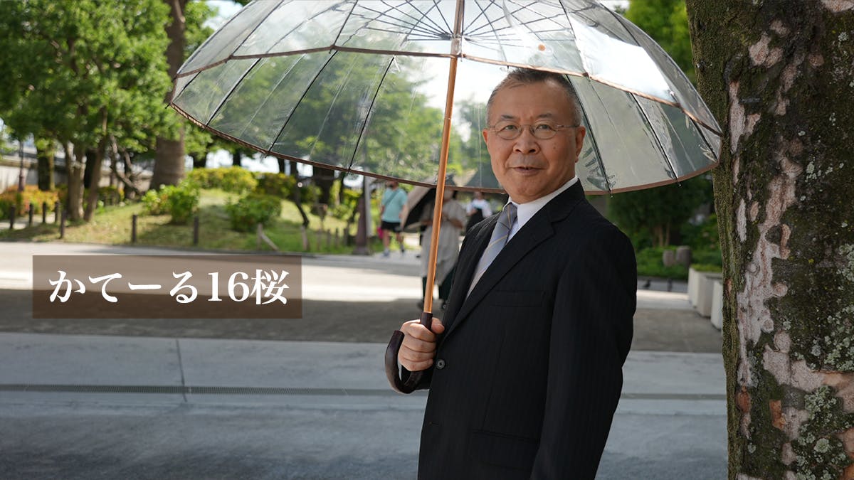 宮内庁御用！透明傘の先駆け職人10代目が作る、高級16本多間骨木棒傘 CAMPFIRE (キャンプファイヤー)