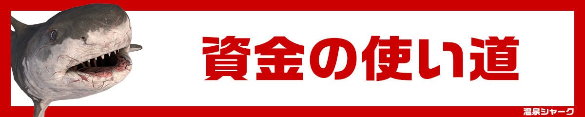 資金の使い道