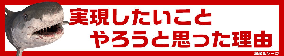 このプロジェクトで実現したいこと、やろうと思った理由