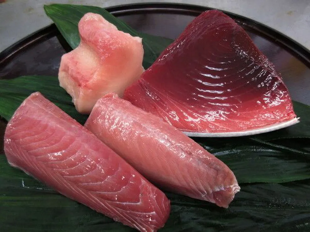 思い出の焼津旧港に活気を はじめての魚河岸シャツ祭りを開催したい Campfire キャンプファイヤー 思い出の焼津旧港に活気を はじめての魚河岸シャツ祭りを開催したい Campfire キャンプファイヤー