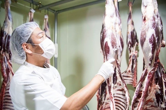 ポロワッカ エゾ鹿