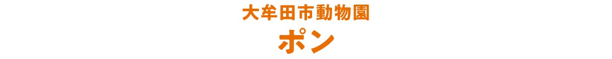 大牟田市動物園 ポン
