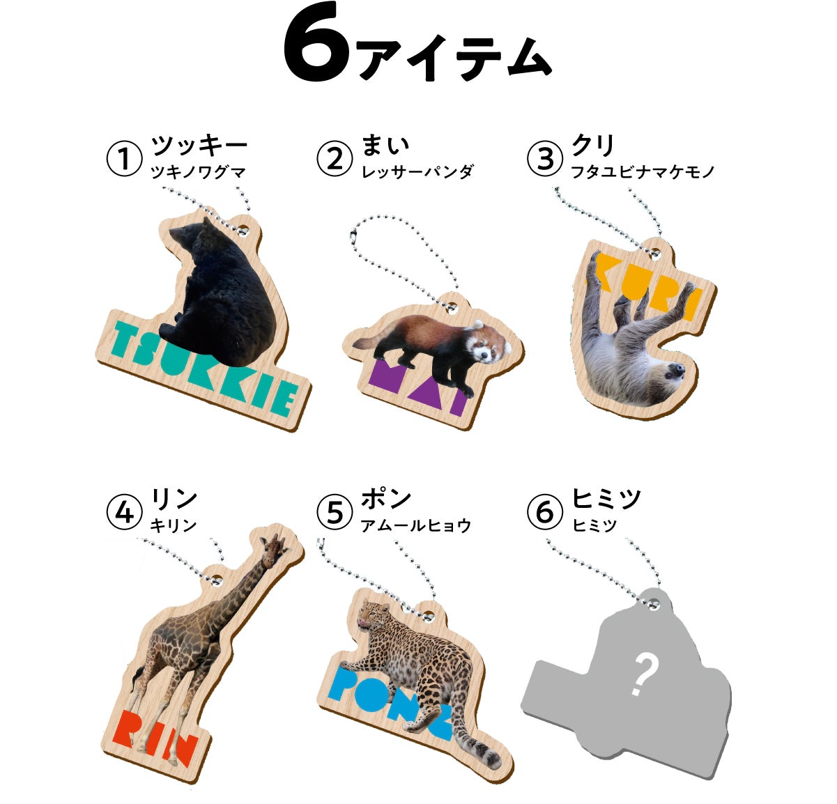 盛岡市動物公園　ZOOMO どうぶつ木ーホルダー