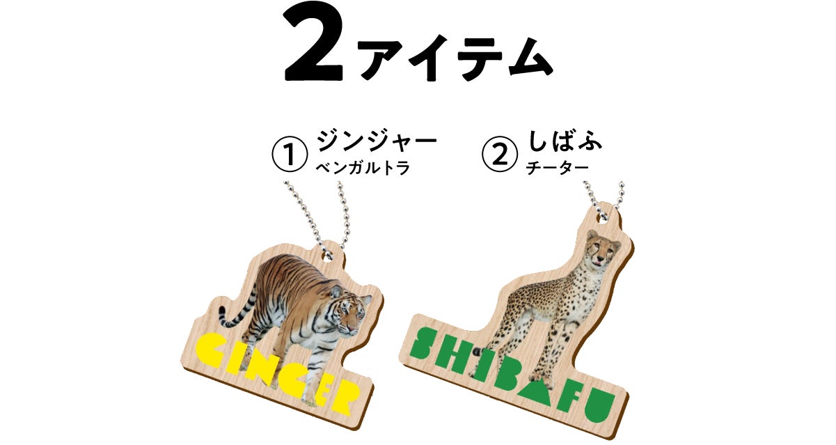 姫路セントラルパーク どうぶつ木ーホルダー