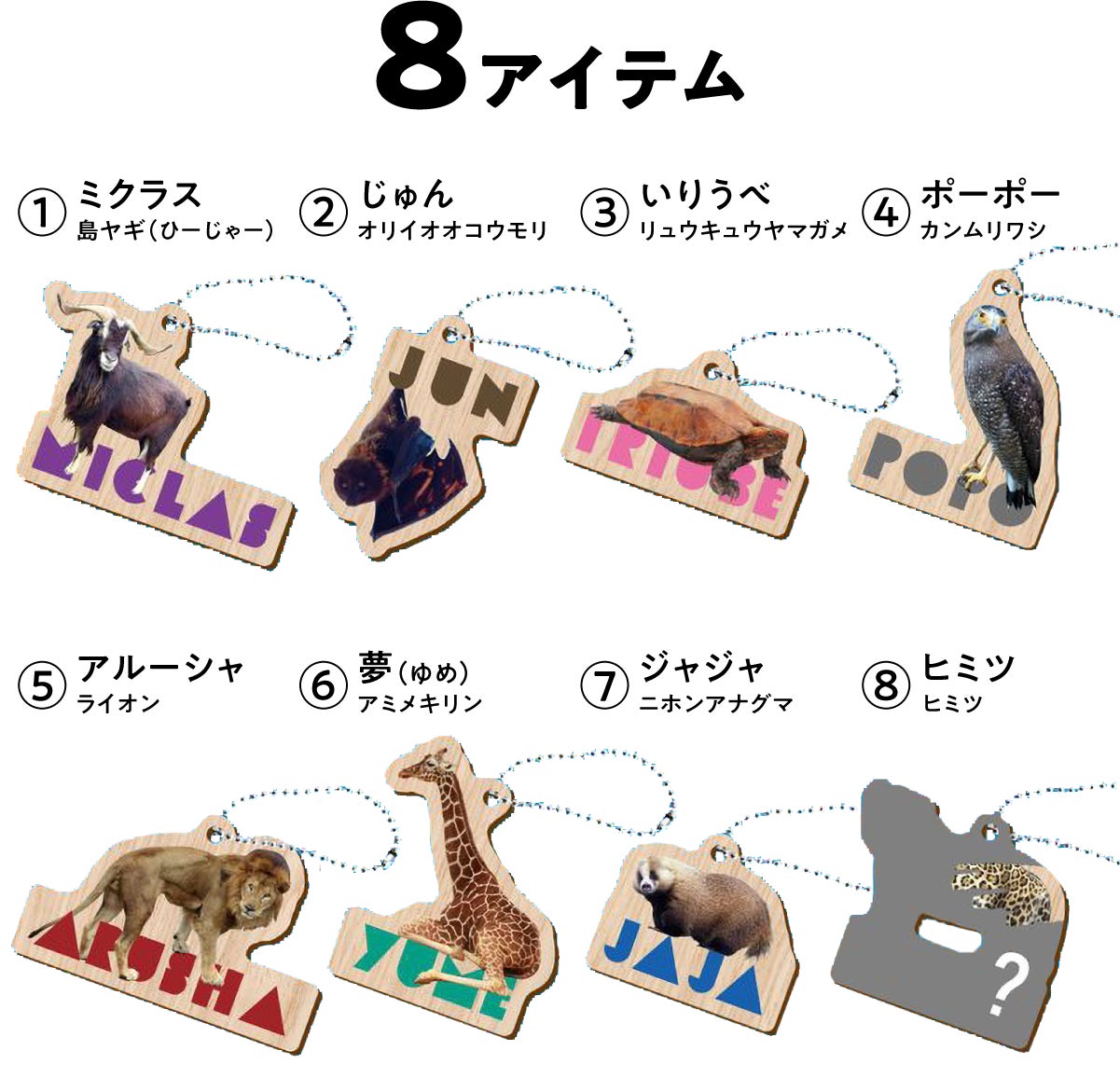 沖縄こどもの国　どうぶつ木ーホルダー