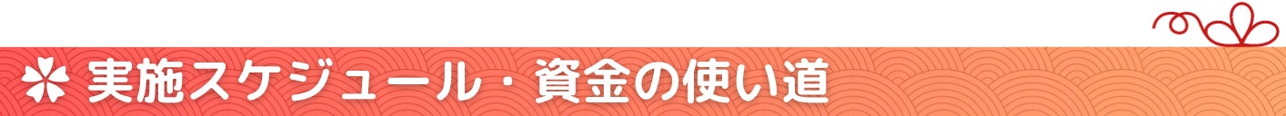 実施スケジュール・資金の使い道