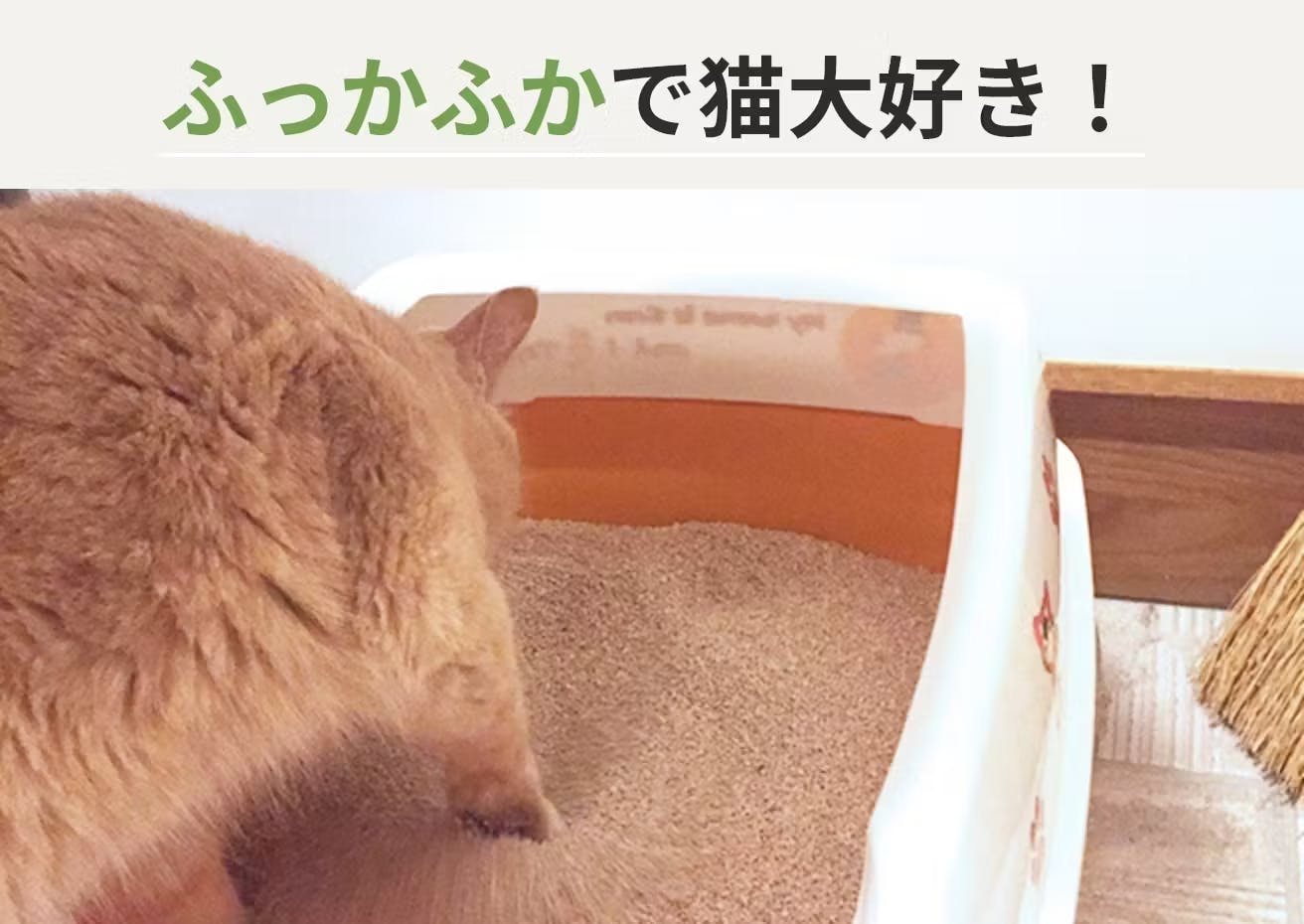 (保護ねこ支援)穀物の猫砂 スマートキャット 2.27kg　
