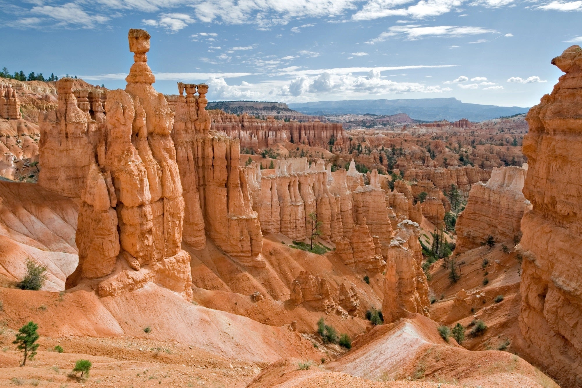 ドローンの魅力を伝えたい】アメリカの絶景を4K高画質で撮影
