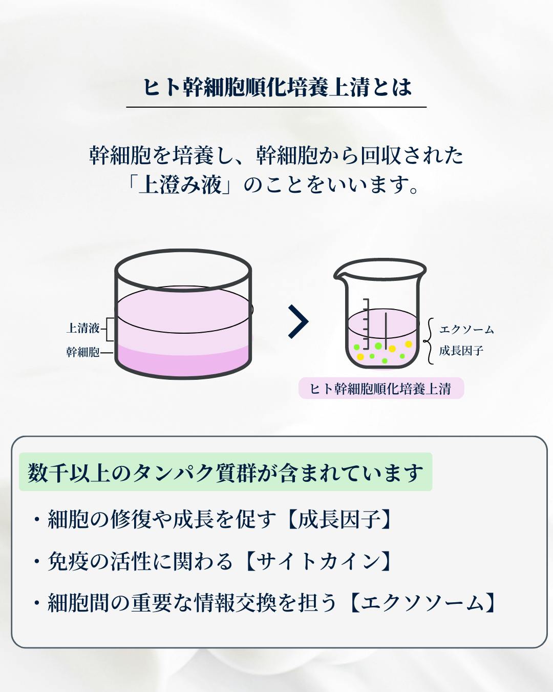 エクソーム モイスチャー60mℓ - スキンケア/基礎化粧品