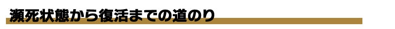 瀕死状態からの復活までの道のり