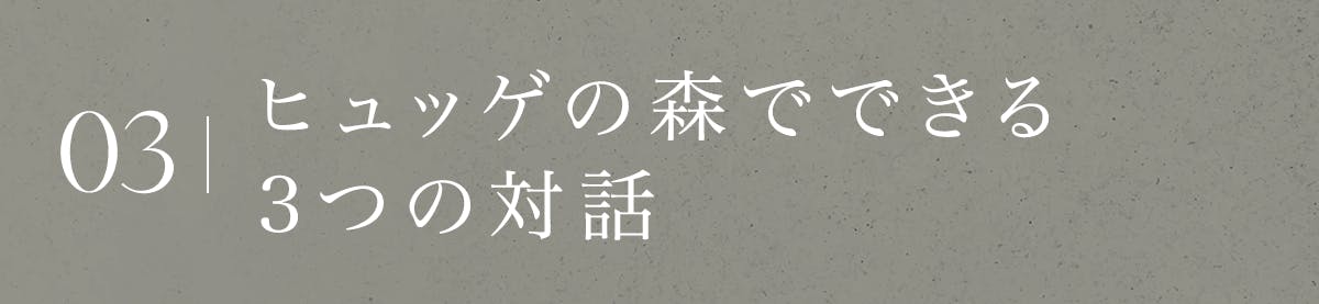 ヒュッゲの森でできること