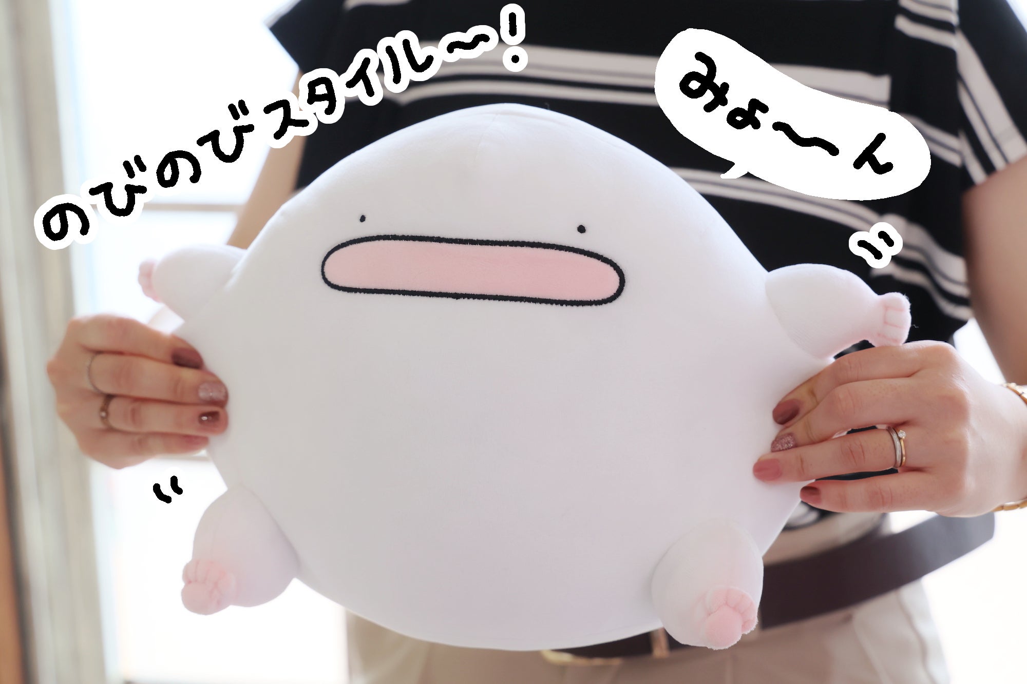 うおマロぬいぐるみプロジェクト - CAMPFIRE (キャンプファイヤー)