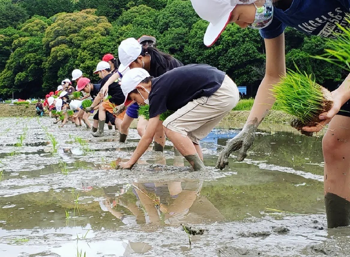 パイプですが詳しくわ知りません頼まれものです宜しくお願いします