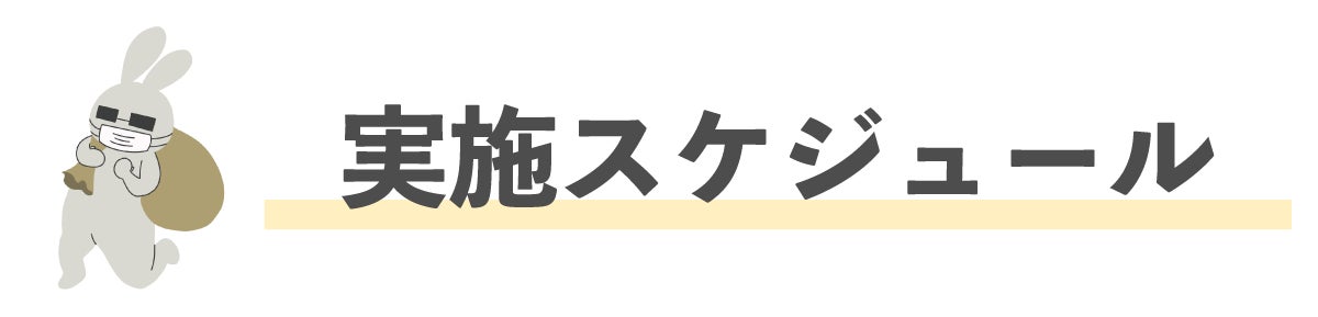 実施スケジュール