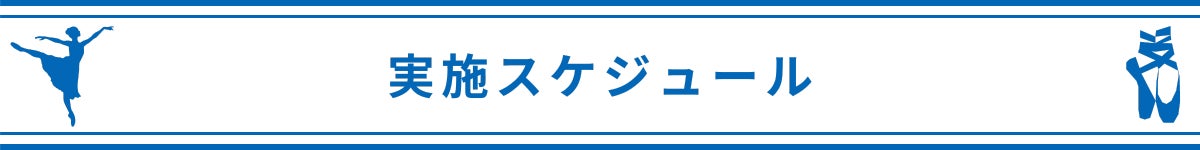 実施スケジュール