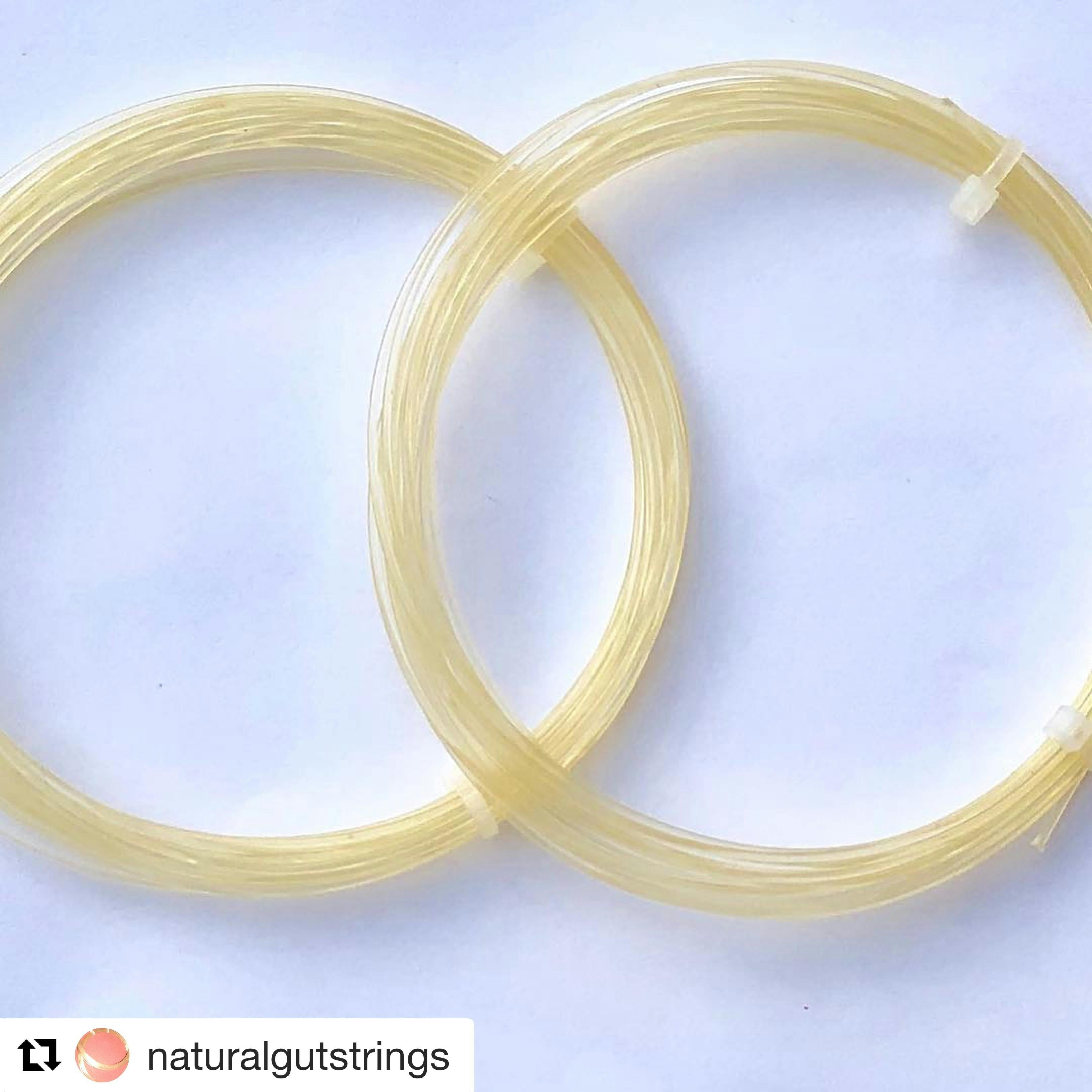 身体に優しいナチュラルガットを広めたい Campfire キャンプファイヤー 身体に優しいナチュラルガットを広めたい Campfire キャンプファイヤー