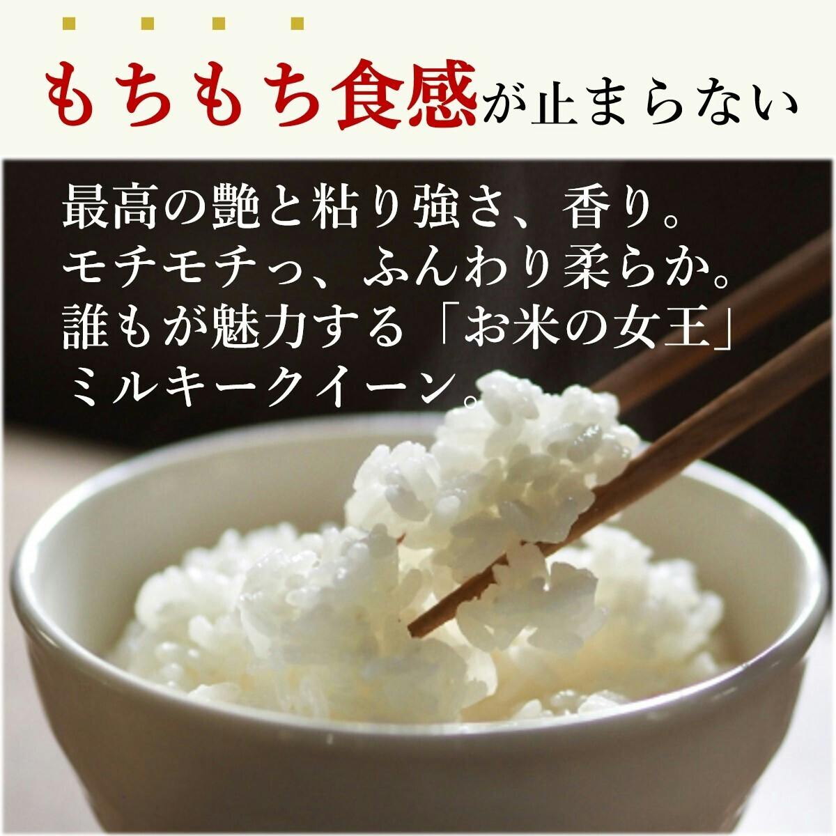 米 精米 5kg×2 モチモチ柔らかなお米です♪ - 米・雑穀・粉類