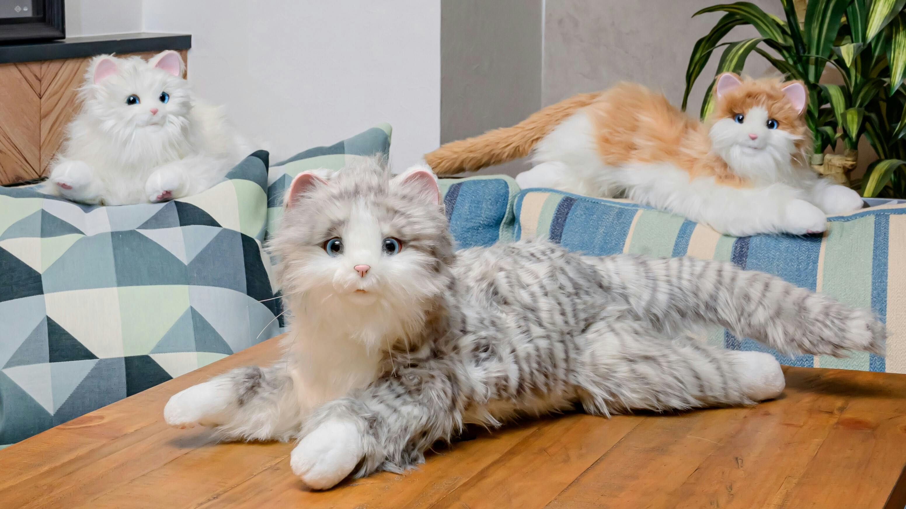 デジレクト しっぽふりふり あまえんぼうねこちゃん 猫型ペットロボット たくさんふれあうことで成長する「ねこちゃん」
