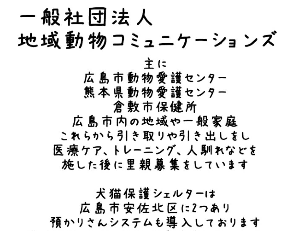 引き取り 募集 謝礼あり - その他