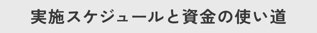 実施スケジュールと資金の使い道