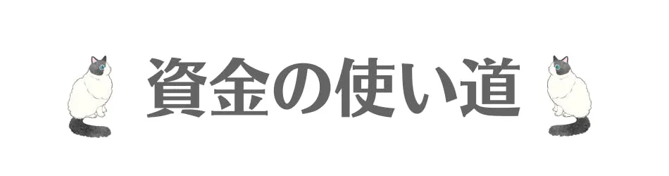 資金の使い道