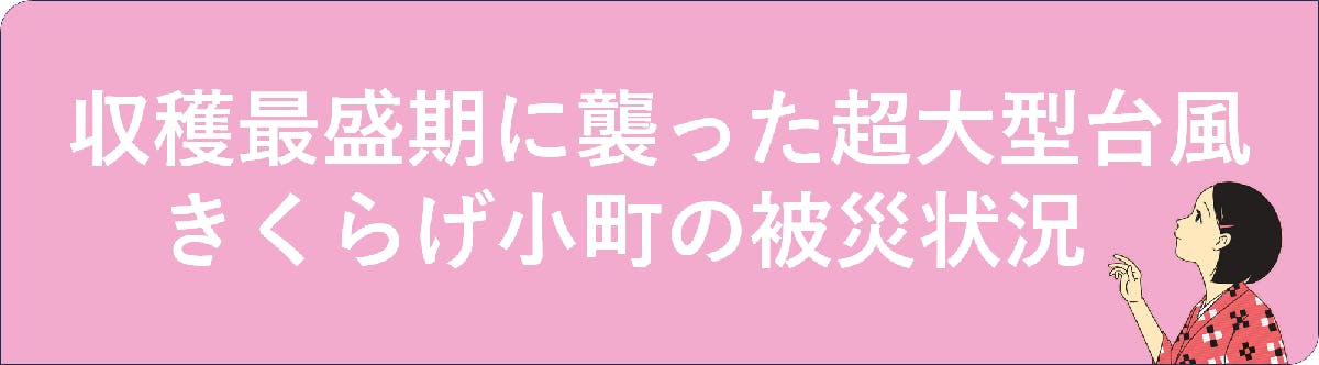 <h2>収穫最盛期に襲った超大型Uターン台風、きくらげ小町の被災状況について</h2>