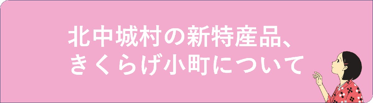 <h2>北中城村の新特産品、きくらげ小町について</h2>