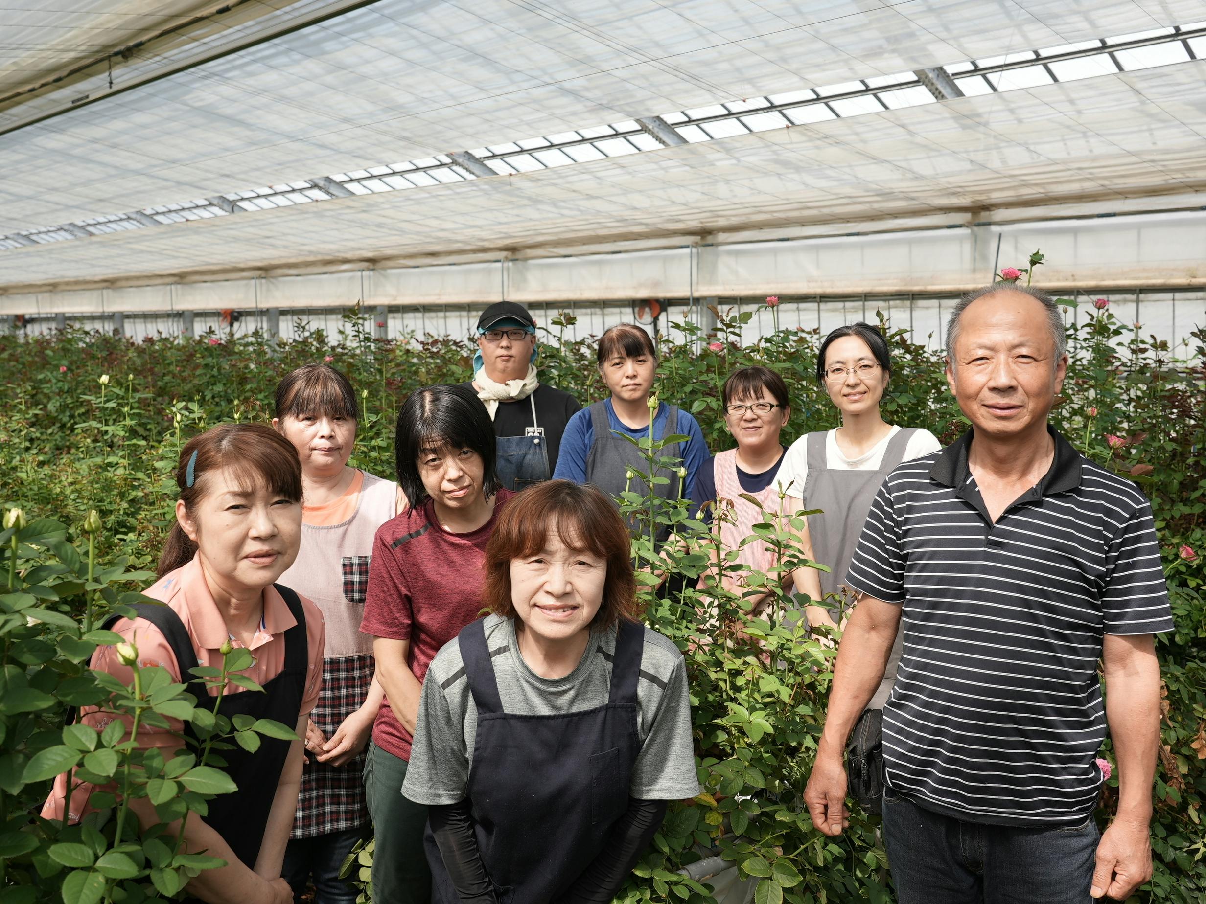 【山形県鮭川村】美しいバラを直送します！バラ農園オーナーになりませんか？？