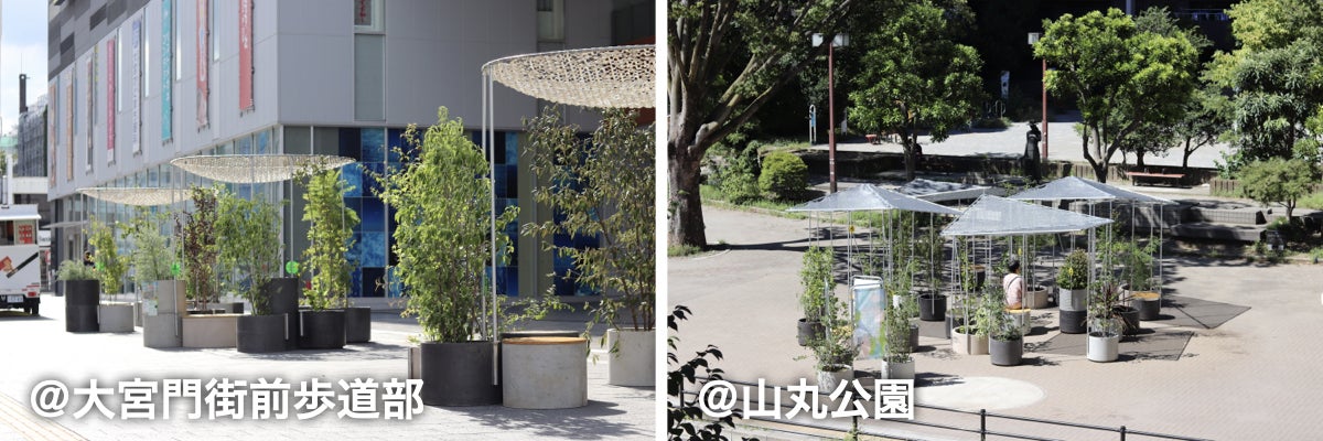 大宮の植木文化を復活させてストリートに緑で“潤い”と“くつろぎ”を