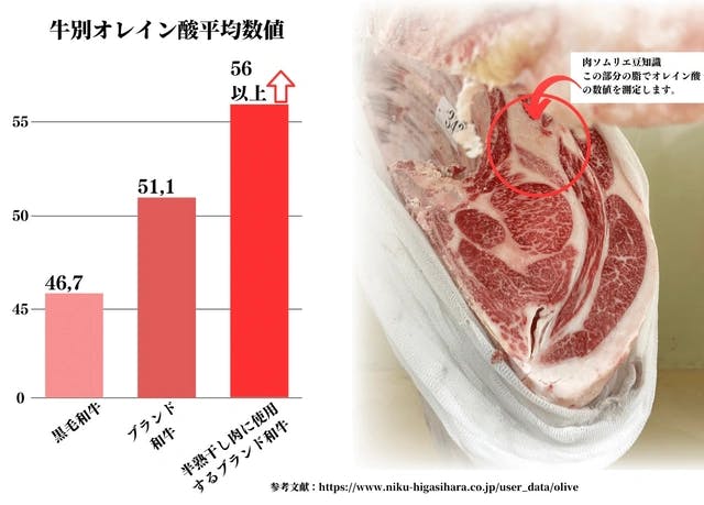 牛別オレイン酸平均数値