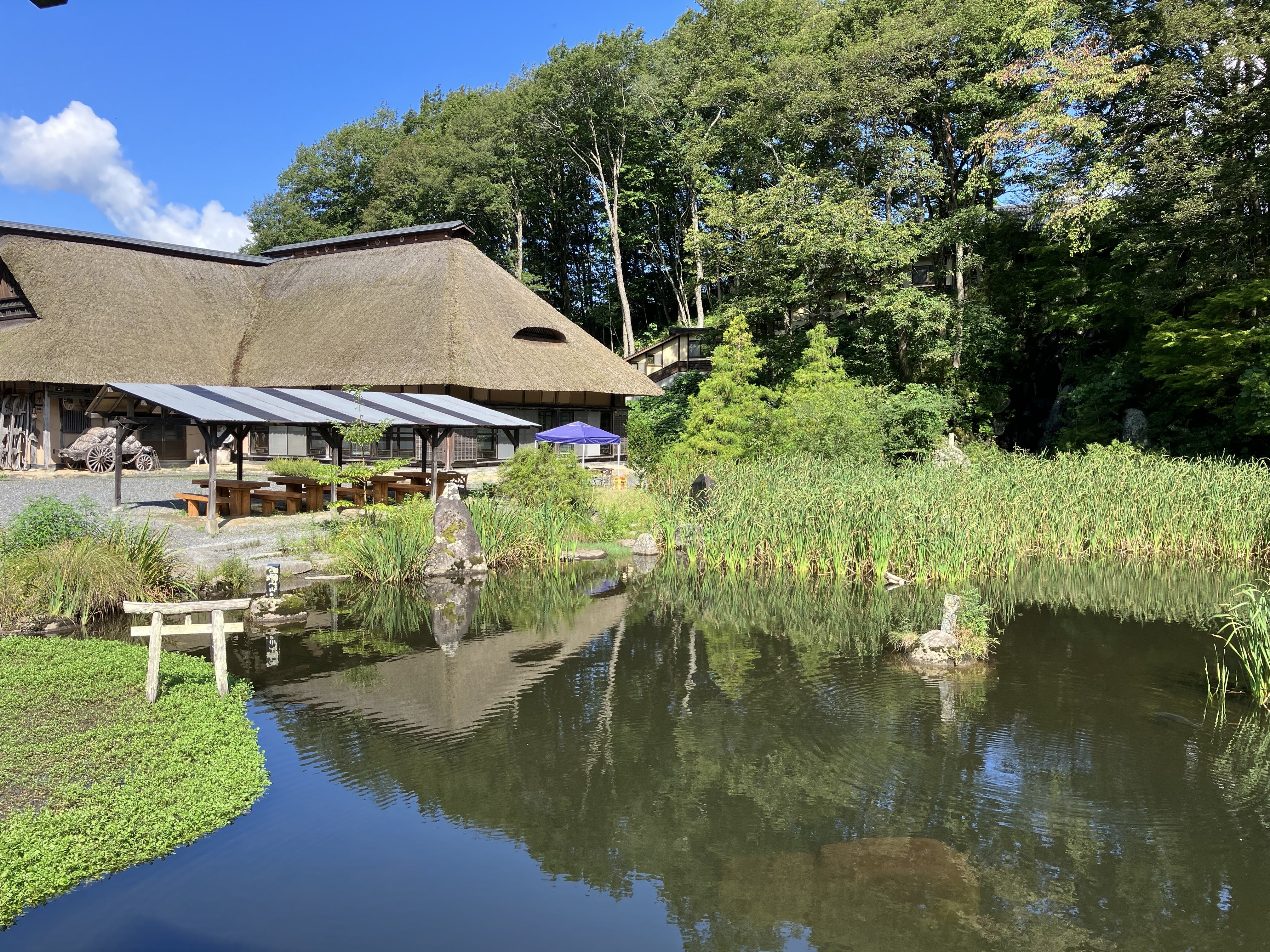 岩手県遠野市×リコー】たかむろ水光園を水力発電でライトアップ
