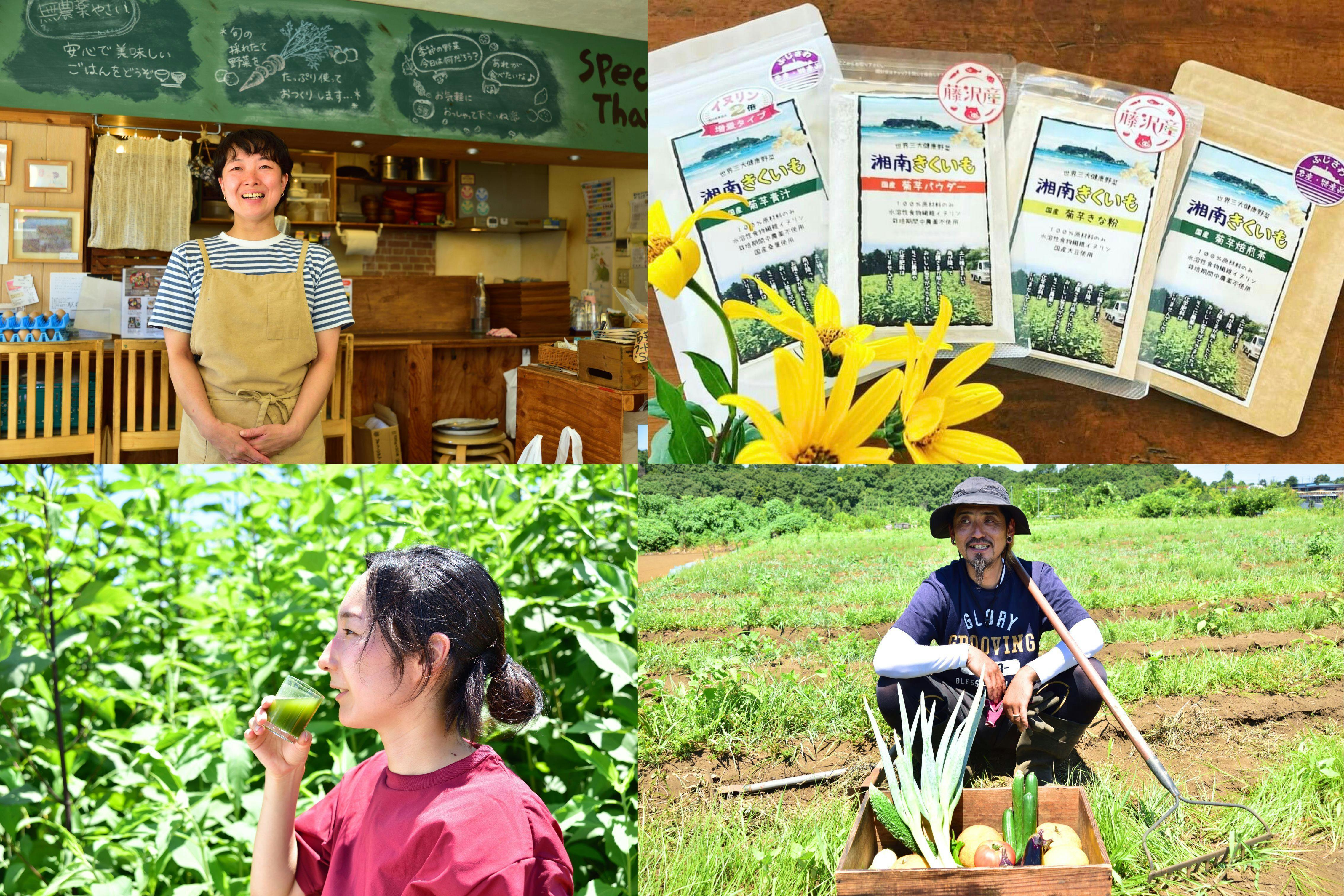 荒廃した耕作放棄地を「湘南レモン」で再生！採れたて感動の香り・美味