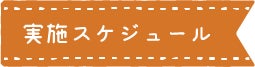見出し:実施スケジュール