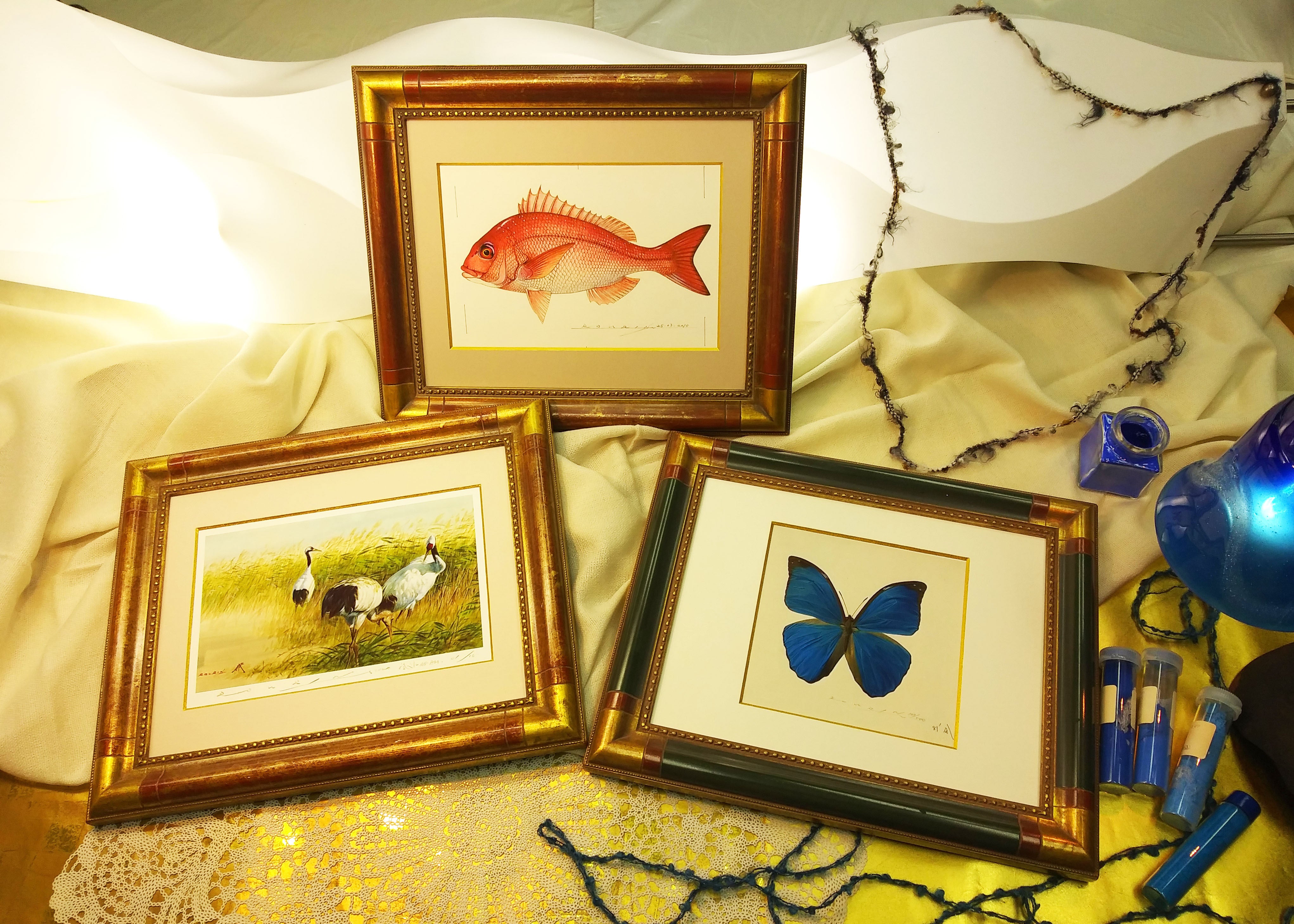 水族館魚類画図譜100彩の原画制作を完結させる（あと12種で100
