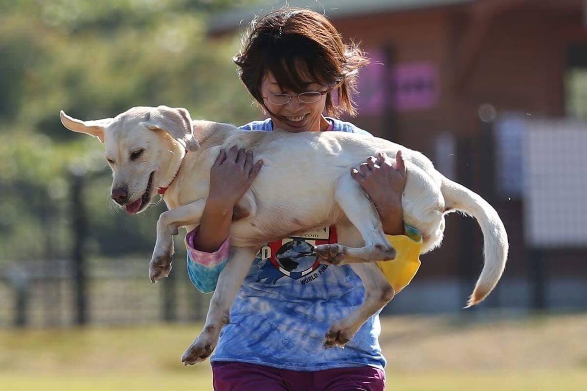 ビーエスドッグス