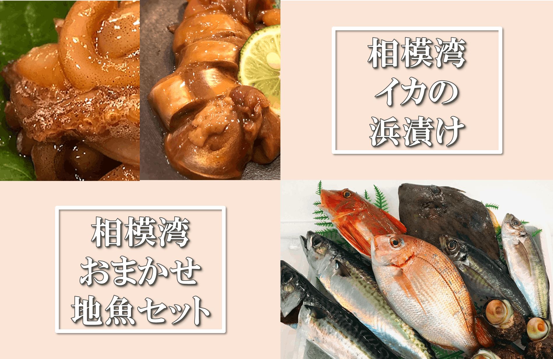 茅ヶ崎・魚卓の「イカの浜漬け」を商品化して、みんなに食べて欲しい 