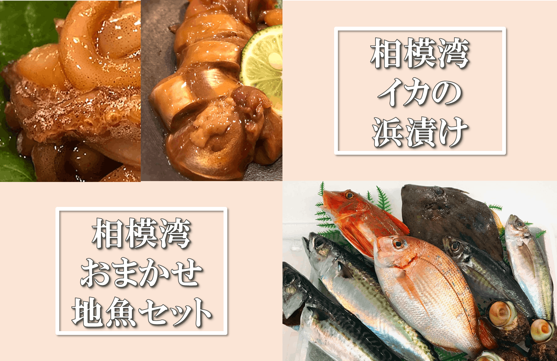 茅ヶ崎 魚卓の イカの浜漬け を商品化して みんなに食べて欲しい Campfire キャンプファイヤー 茅ヶ崎 魚卓の イカの浜漬け を商品化して みんなに食べて欲しい Campfire キャンプファイヤー
