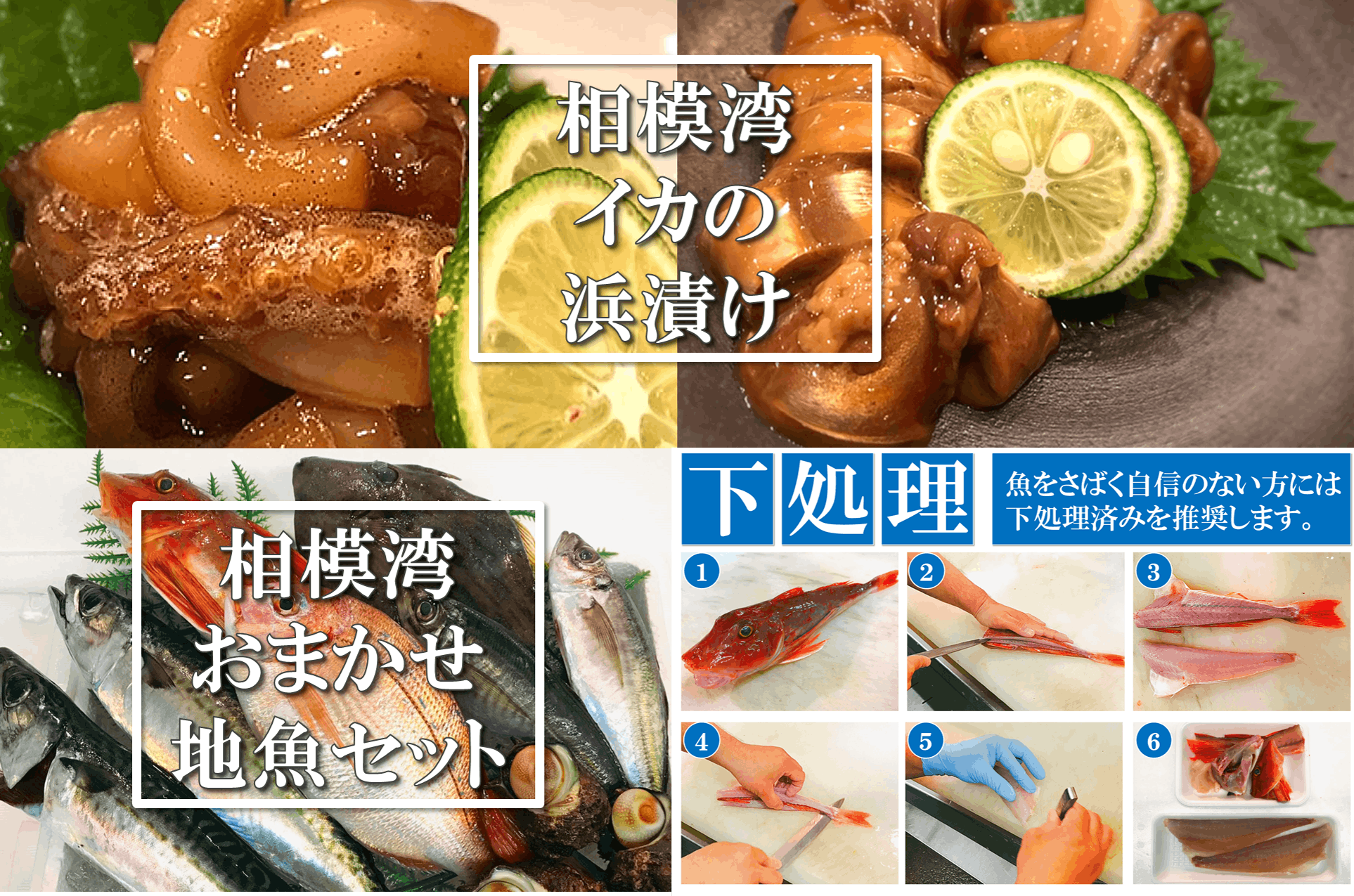 茅ヶ崎 魚卓の イカの浜漬け を商品化して みんなに食べて欲しい Campfire キャンプファイヤー 茅ヶ崎 魚卓の イカの浜漬け を商品化して みんなに食べて欲しい Campfire キャンプファイヤー