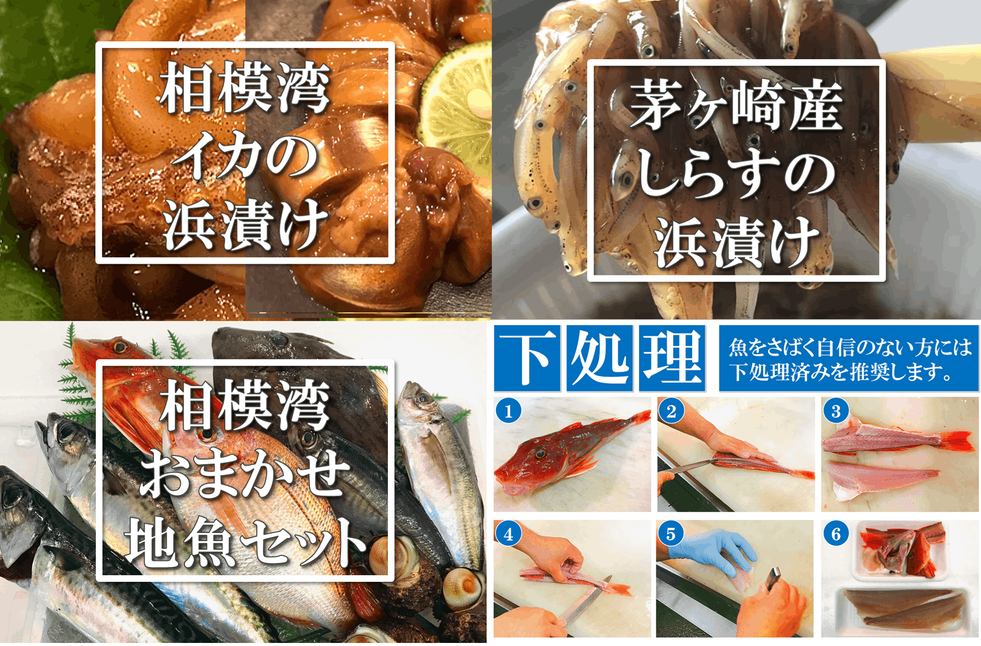 茅ヶ崎・魚卓の「イカの浜漬け」を商品化して、みんなに食べて欲しい！　CAMPFIRE　(キャンプファイヤー)