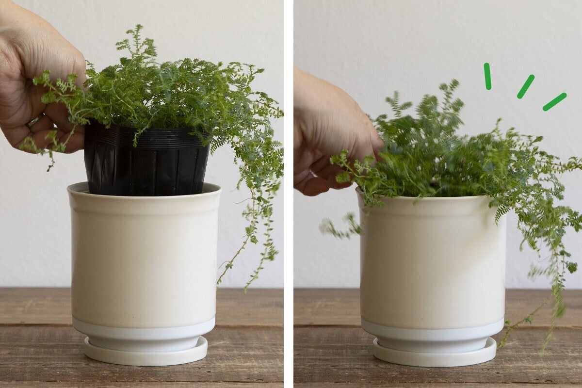 屋外でもキレイな色がずっと続く。色褪せない波佐見焼の植木鉢