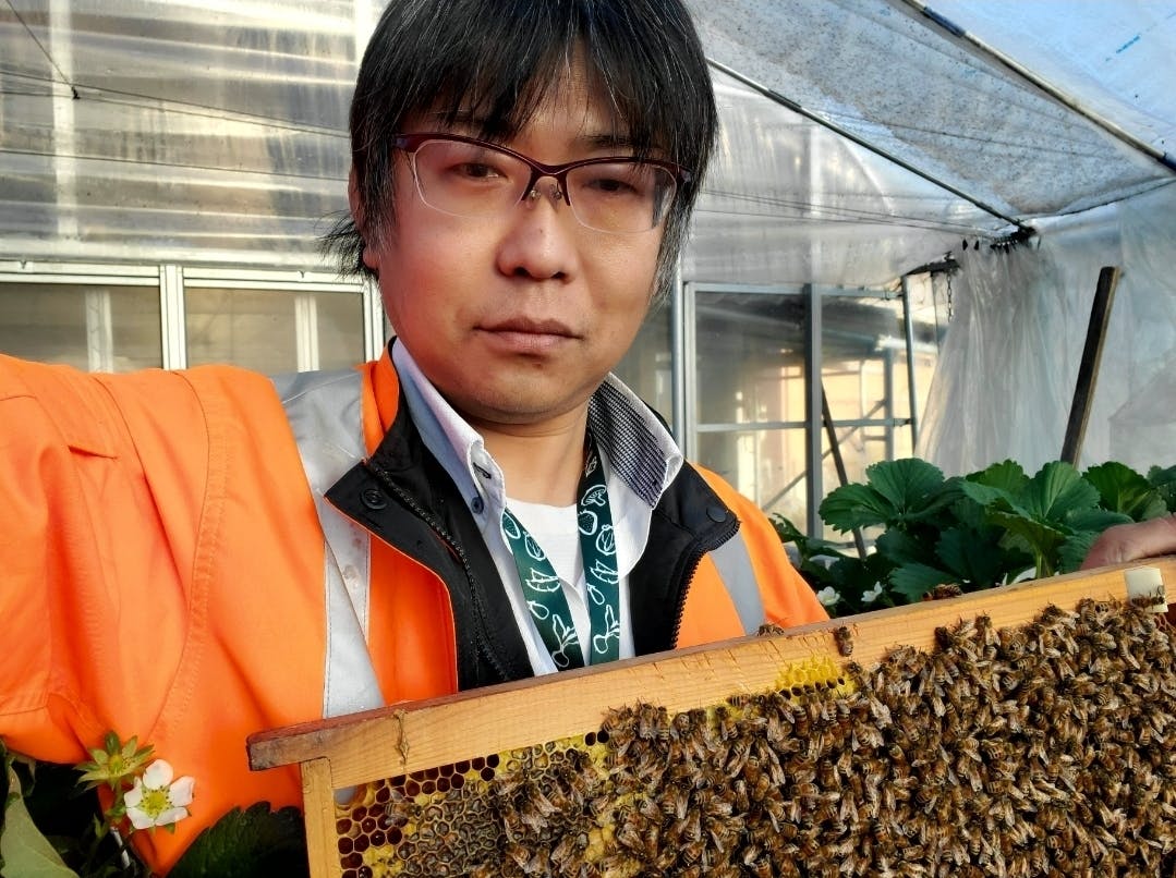 みつばちの力で地域の農作物を救いたい！養蜂の力で地域の農家様を支え