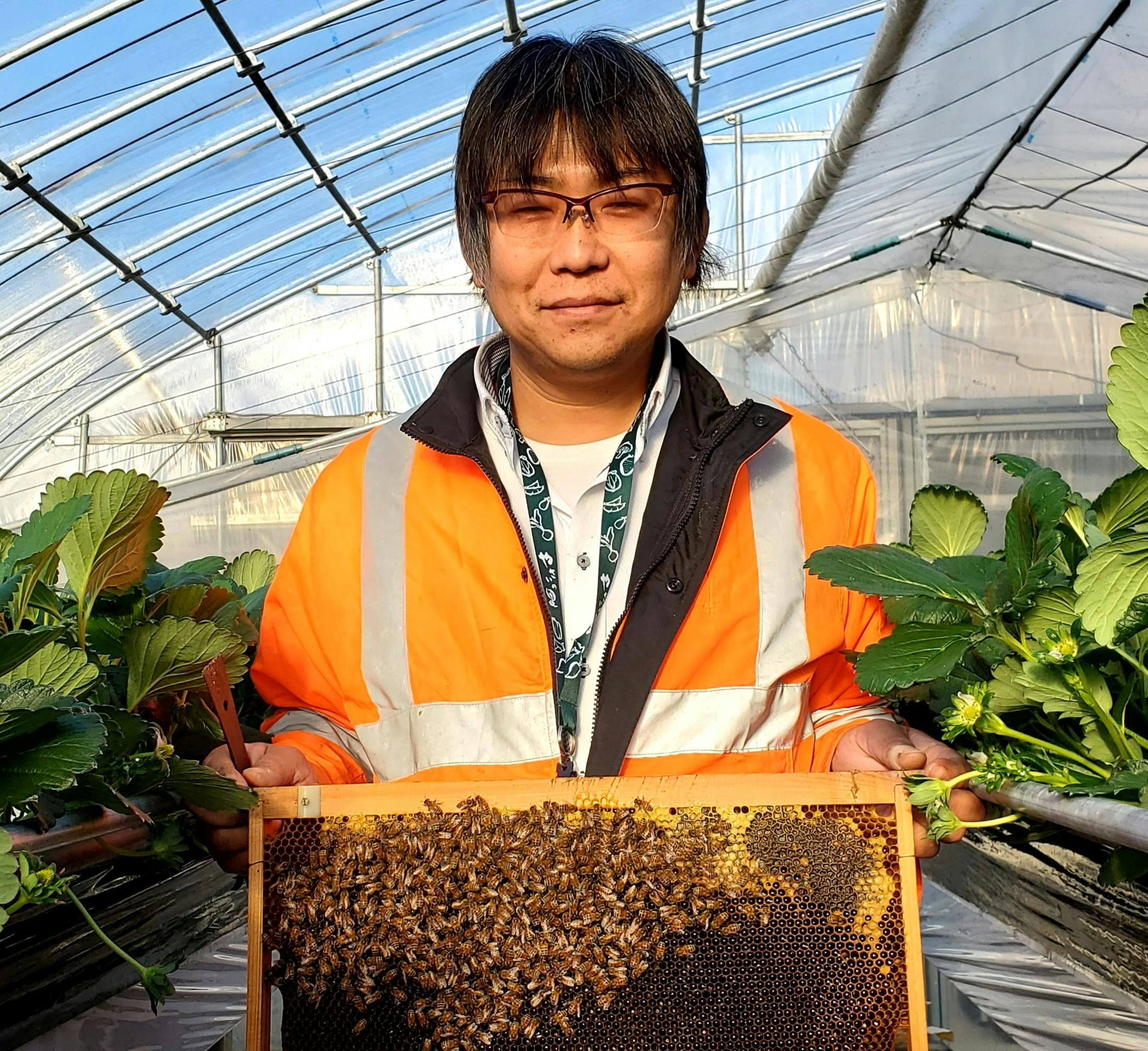 みつばちの力で地域の農作物を救いたい！養蜂の力で地域の農家様を支え