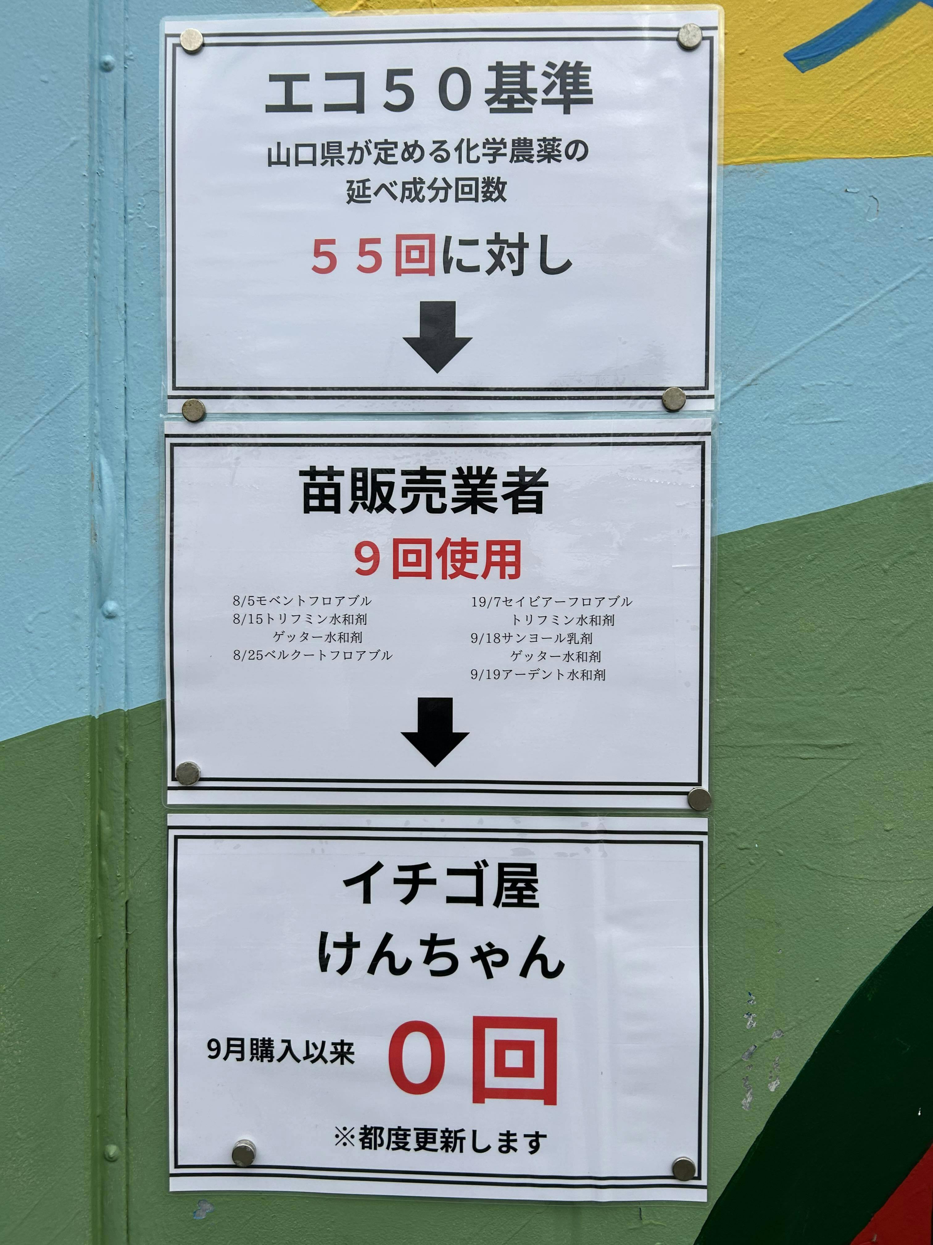 平均糖度15度！イチゴ屋けんちゃんのぶち甘～いイチゴを大切な人と