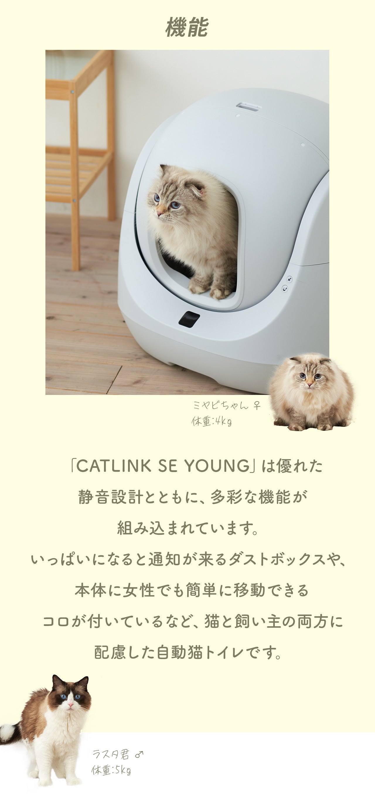 スマホで簡単操作・管理♪新商品の自動猫トイレを割引価格にてご提供