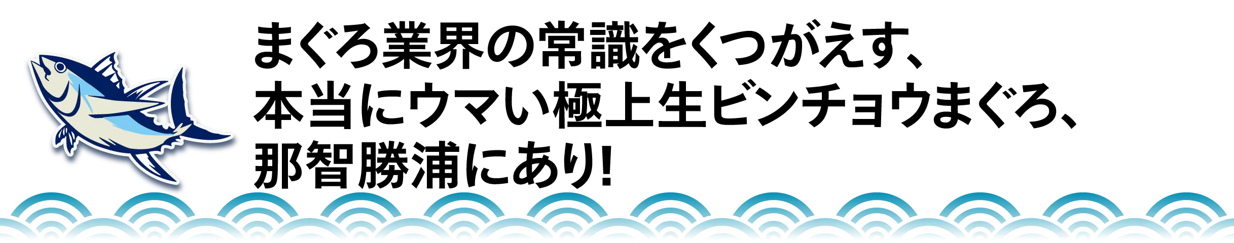 まぐろ業界の常識をくつがえす、 本当にウマい極上生ビンチョウまぐろ、 那智勝浦にあり!